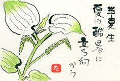 読者登壇