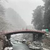 日光宇都宮道路　大雪で午後４時から全面通行止め