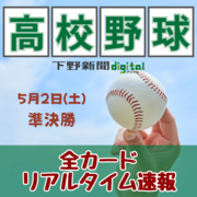 春季栃木県高校野球、2日準決勝　関東懸けて佐野の私学強豪が激突、「公立の星」は昨秋…