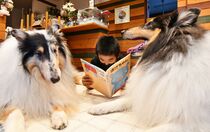 「読書介助犬」を育成中　鹿沼