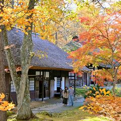 郷愁誘う秋色　「平家の里」で紅葉見頃　日光・湯西川温泉