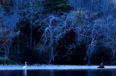 入選「ブルーステージ」山口智之（宇都宮）