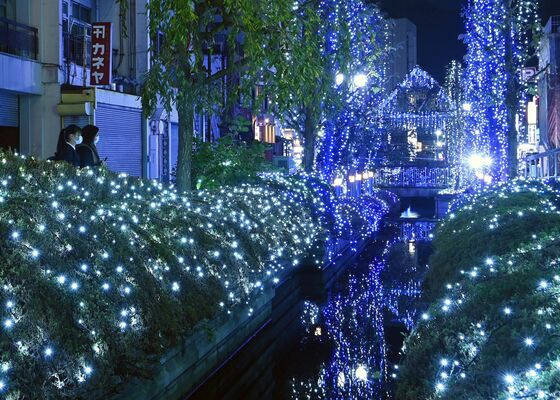 釜川を華やかに彩るイルミネーション＝16日午後６時25分、宇都宮市曲師町