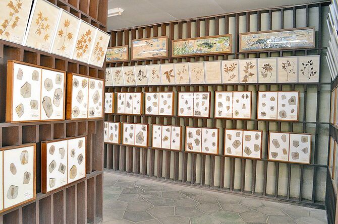 塩原や同園内から産出した化石などを展示