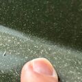 スギや黄砂は収束したのに… 降り注ぐ「謎の黄色い粉」は何? 正体はマツの花粉か 予報対象外、注目されず