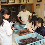 大田原の農家民泊が回復傾向　コロナ禍でも農業の魅力発進継続　５類移行後…