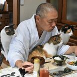 猫に囲まれる住職　ネットで話題、全国から参拝者　那須の長楽寺