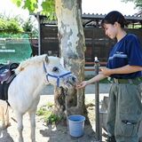 小学生の疑問「使われなかった食材、動物園で使ってるの？」　数十年前から広がり　餌代高騰で経営下支え　栄養管理でなじまぬ事例も