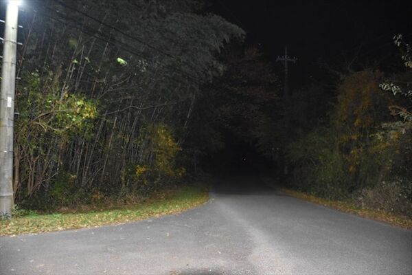 女性がクマに襲われた町道＝４日午後５時57分、那須町大島