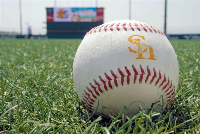 プロ野球のボール