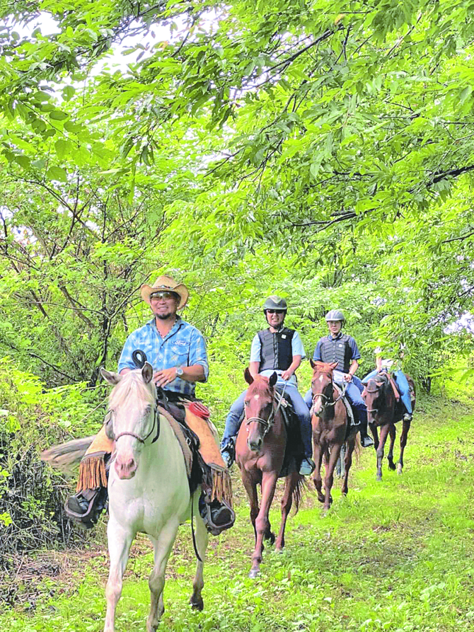 豊かな自然が残る元御料地を馬に乗って散策