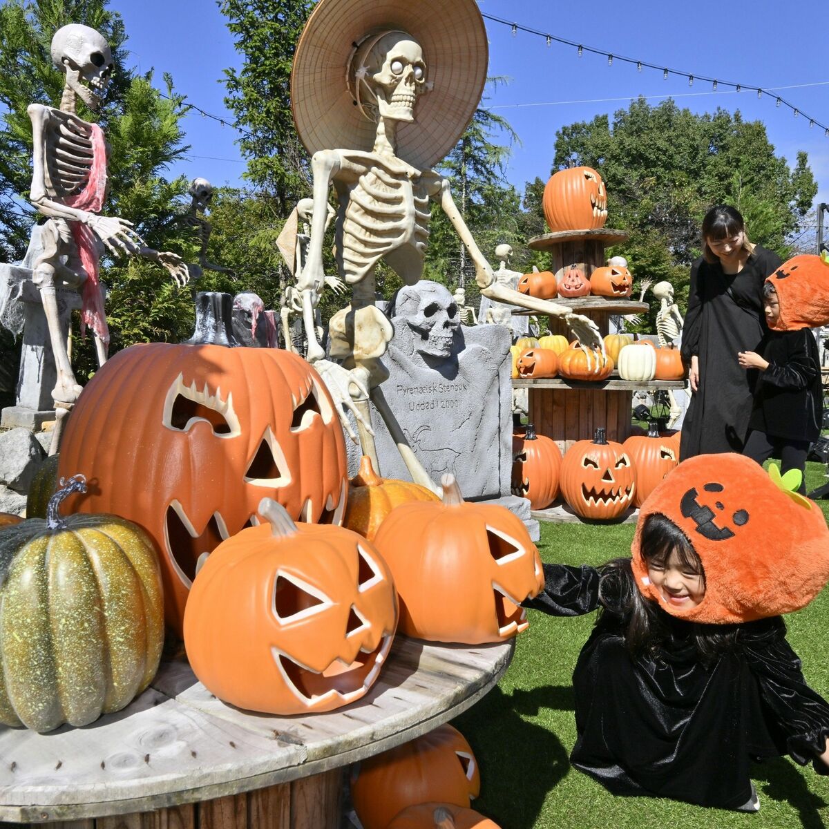 不気味な骸骨やゾンビの人形、「異空間」で本気のハロウィーン 那須