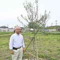 佐野でオリーブ産地に　農業委員ら協議会設立へ　健康志向で需要拡大、幅広い用途