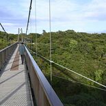 異例の暑さ、紅葉にも影響　栃木県内名所の見頃に遅れ見込み　一部では落葉…