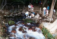 わがまちの変遷　塩谷・高原山と尚仁沢湧水　保全の闘い、条例に結実
