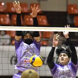 レーヴィス栃木、連勝ストップ　北海道YSに１－３　バレーボールＶリーグ