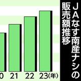 ナシ販売額過去最高　初の６億円超え　2023年産ＪＡなす南　猛暑が追い風、単価上昇
