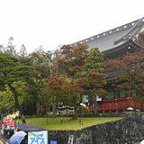 世界遺産でマルシェ、４年ぶり復活　紅葉シーズンの日光山輪王寺で４日まで