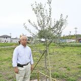 佐野をオリーブ産地に　農業委員ら協議会設立へ　健康志向で需要拡大、幅広い用途