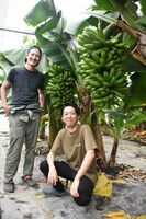 市産バナナの栽培に挑んでいる豊田さん（左）と長谷川さん