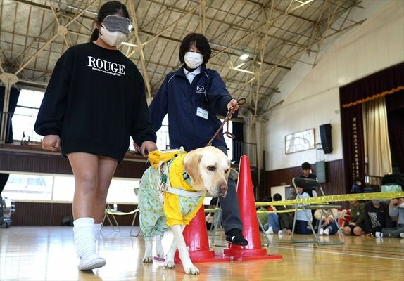 盲導犬体験教室