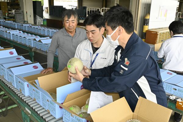 メロンの品質を確認するＪＡの担当者と見守る大島さん（左）