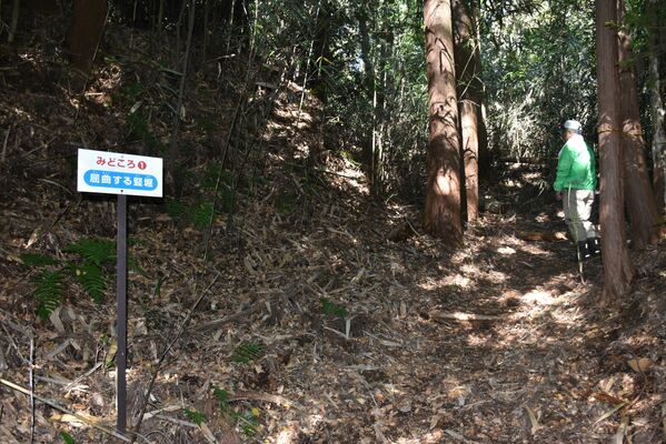 敵を防ぐために屈曲して掘られた竪堀