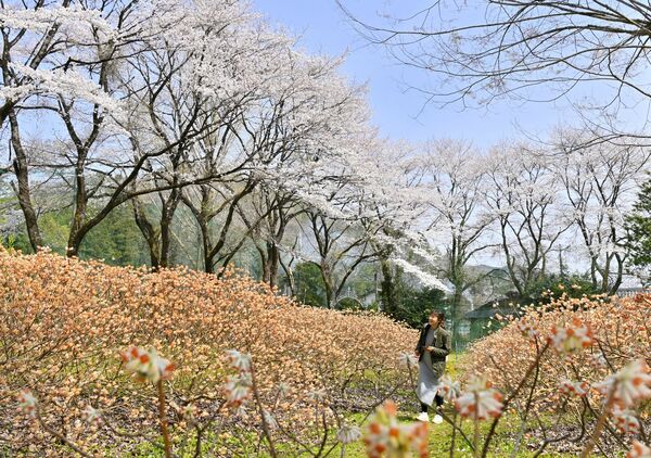 花の森嵯峨ＧＡＲＤＥＮ