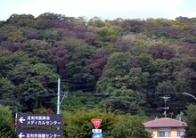 足利県立自然公園で樹木の枯死拡大　ナラ枯れが原因か