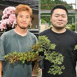 矢板「和洋園」と鹿沼「楽樹園」　手がけた盆栽 万博に出展　伝統美に外国…