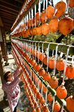 初冬彩る軒先の干し柿 那須