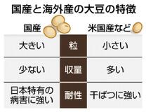 粒大きくする遺伝子配列存在