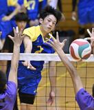 高さで王者優位か