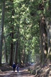 景観継承へＣＦ型納税