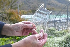 奥日光の戦場ケ原で初氷　昨年より２週間…