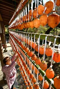 初冬彩る軒先の干し柿 那須