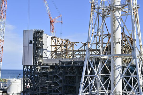 鉄骨がむき出しとなっている１号機＝１月10日、磯真奈美撮影