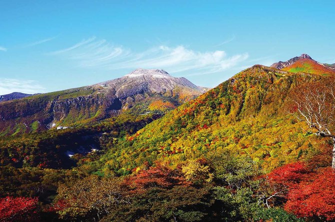 【例年の見ごろ】10月中旬~下旬 【住所】那須町大島