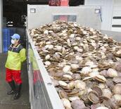 水産物輸入停止「納得できない」