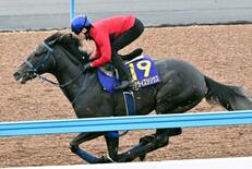 リアライズシリウス好感触