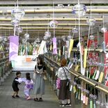 ちりんと響く音色涼やか　下野・華蔵寺で「風鈴まつり」　金魚やアサガオな…