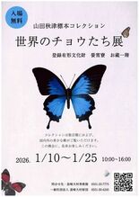 山田秋津標本コレクション「世界のチョウたち展」を開催