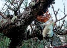 撮っておきの一枚