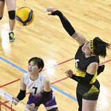 バレーボール女子、国学院栃木が３連覇　男子は足利大付２連覇　栃木県高校総体