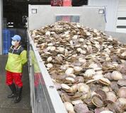 水産物輸入停止「納得できない」