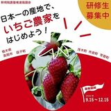 観光イチゴ園で就農を　担い手育成へ　真岡市が新制度