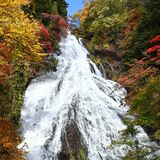 近年にない当たり年　奥日光の湯ノ湖、湯滝で紅葉見頃【動画】