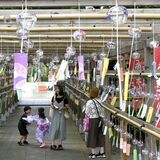 ちりんと響く音色涼やか 下野・華蔵寺で「風鈴まつり」 金魚やアサガオなど、1300個風に揺れる