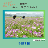 5月３日の栃木県内ニュース　「宇都宮でもフジ見頃」など３本をお届けします