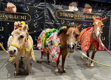 東京メガイルミ2025‐2026 「午（うま）年MEGA新春イベント」を開催